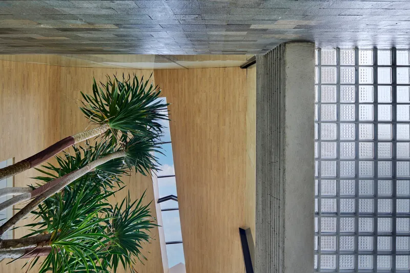 Upward view of the gridded glass block skylight with palm fronds and ribbed ceiling panels