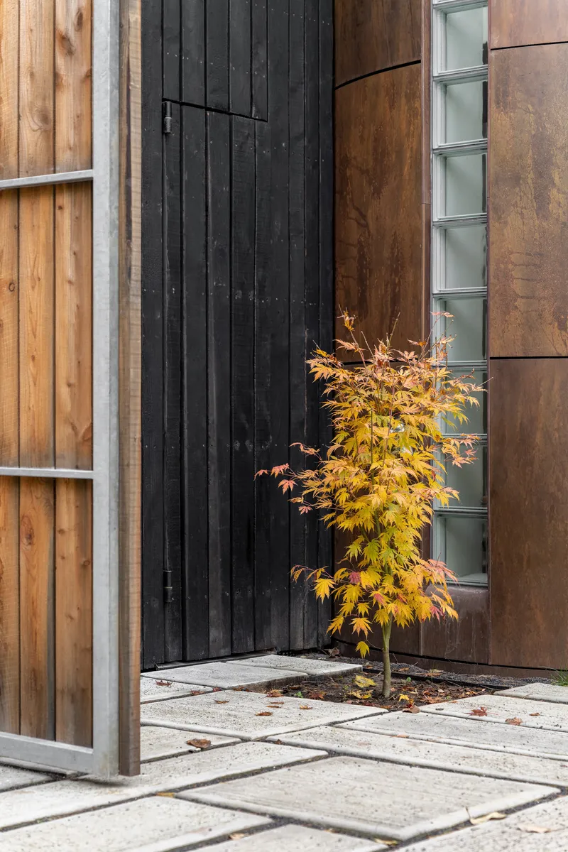 Charred vertical timber cladding meeting weathered copper panels beside a small maple tree in autumn