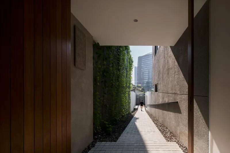 Narrow paved pathway between concrete walls and a vertical green wall with a figure in the distance