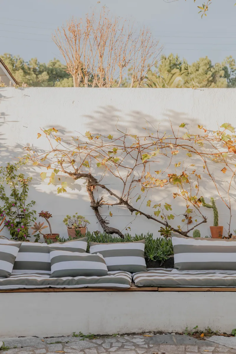Courtyard seating with white wall, potted plants, and twisting branches casting shadows at dusk