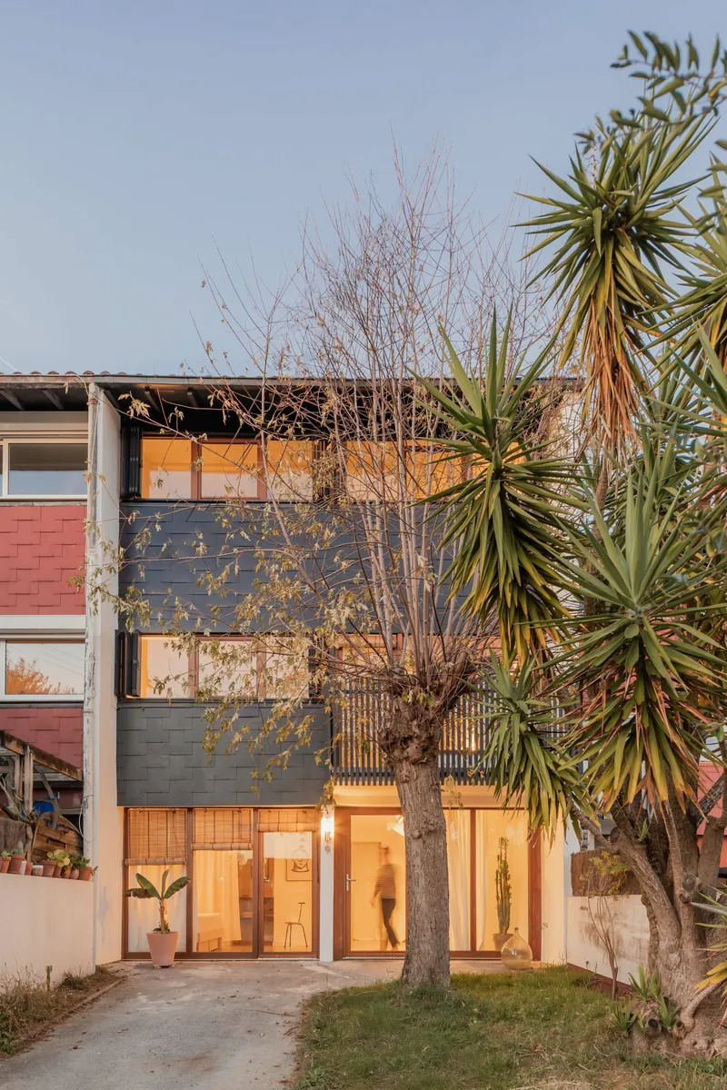 Front facade with dark tile cladding and timber-framed glazing behind a bare deciduous tree and palm