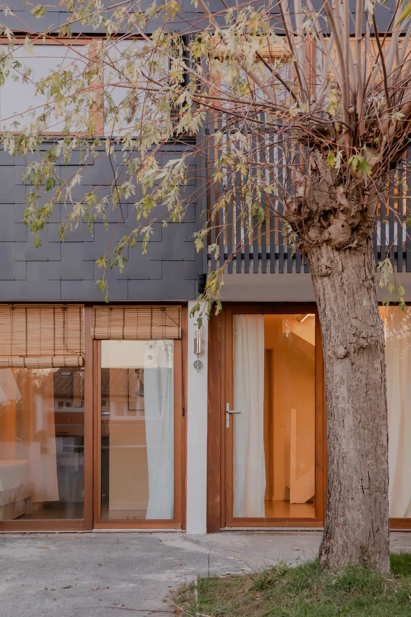 Ground floor entry with timber doors and slatted screen beneath bare wisteria branches at dusk