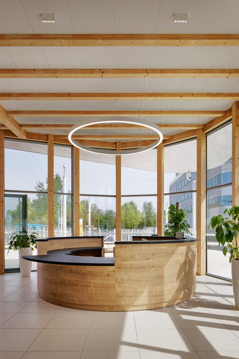 Curved timber reception desk beneath exposed wooden beams and a circular pendant light in bright daylight