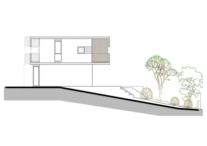 Section drawing illustrating the residence on a sloping site with adjacent trees