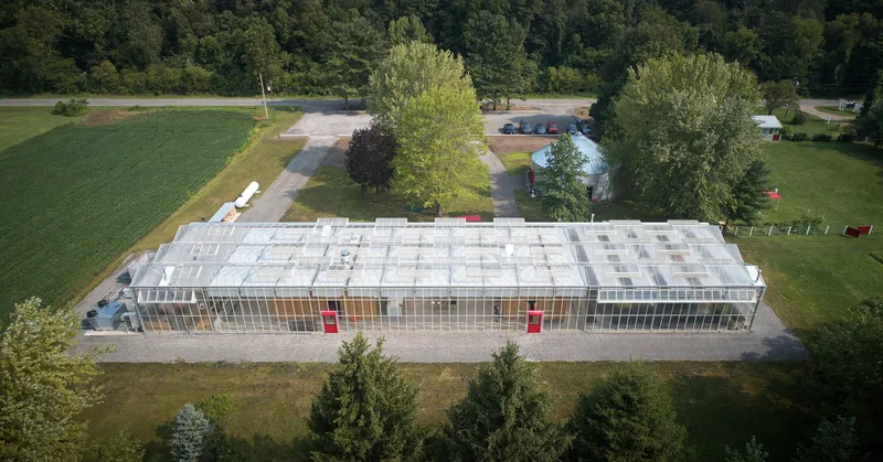 Aerial view of the rectangular greenhouse roof with gridded polycarbonate panels framed by parking and summer trees