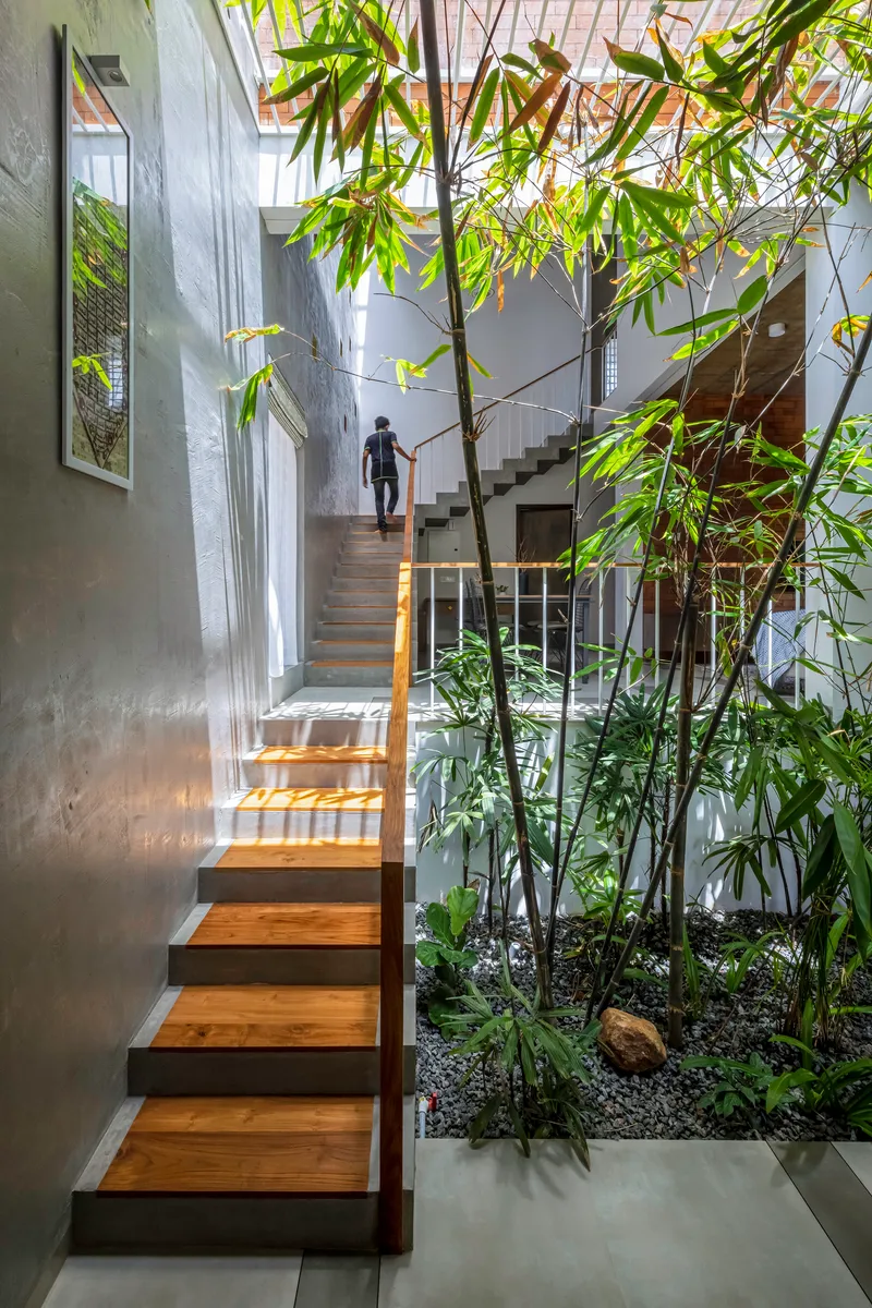 Concrete staircase with timber treads ascending past a bamboo grove in an interior courtyard garden