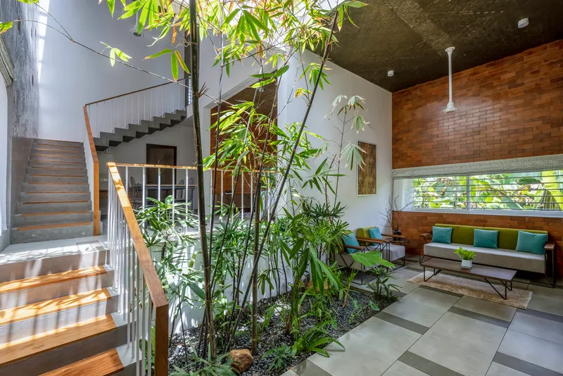 Interior living space with bamboo planting bed, concrete stair and dappled sunlight through overhead screening