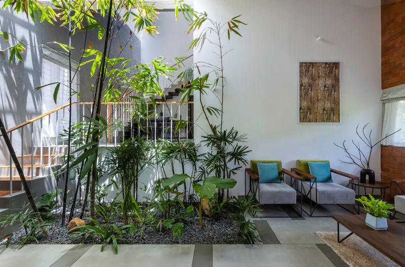 Living area with interior planted bed of bamboo and grasses beside a seating arrangement