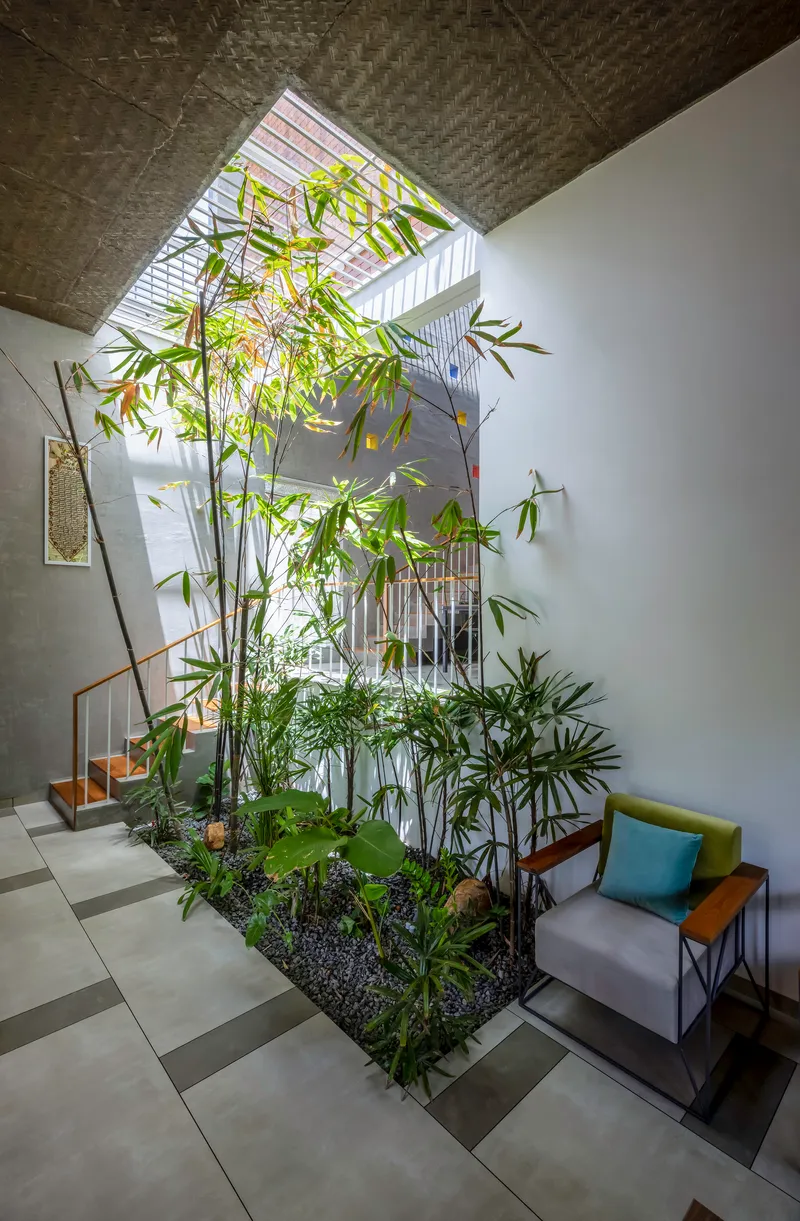Double-height interior courtyard with bamboo grove and skylight above the stair void