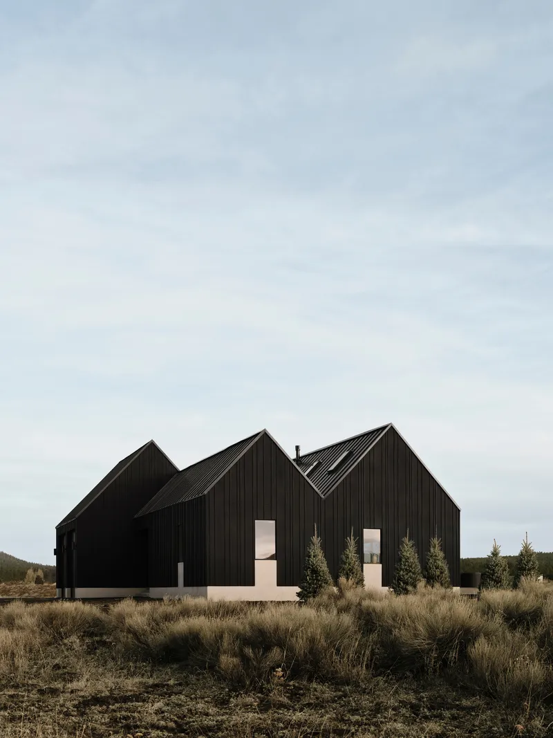 Three clustered gabled volumes with vertical black siding and young evergreens in sagebrush field