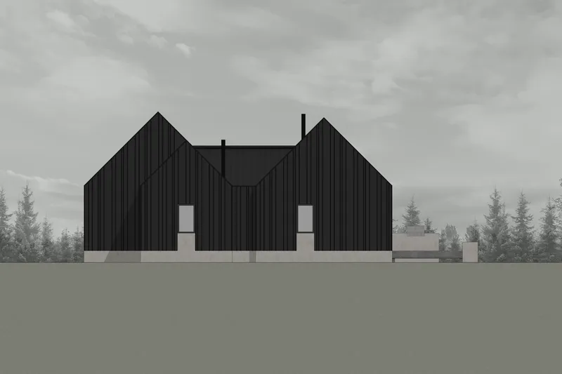 Elevation drawing showing twin gabled volumes clad in vertical panels under an overcast sky