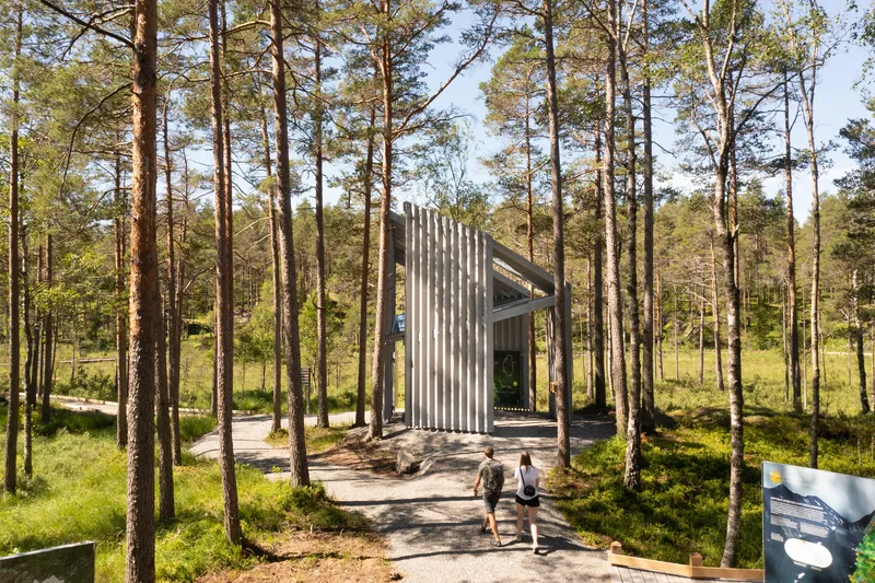 Two visitors walking along a gravel path approaching the vertical wood-clad structure among forest trunks