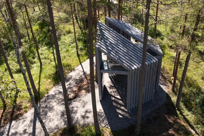 Aerial view of the faceted timber roof planes and gravel clearing between standing pine trees