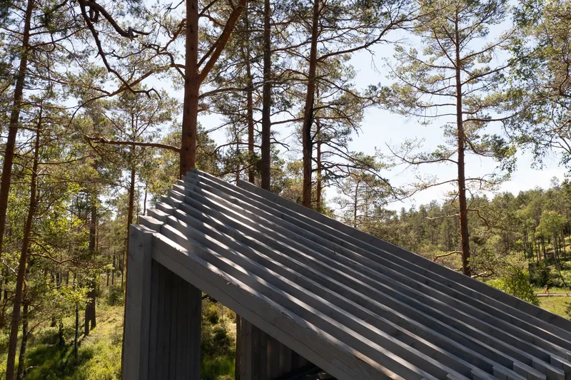 Close-up of the angled slatted roof with horizontal battens rising above the tree line
