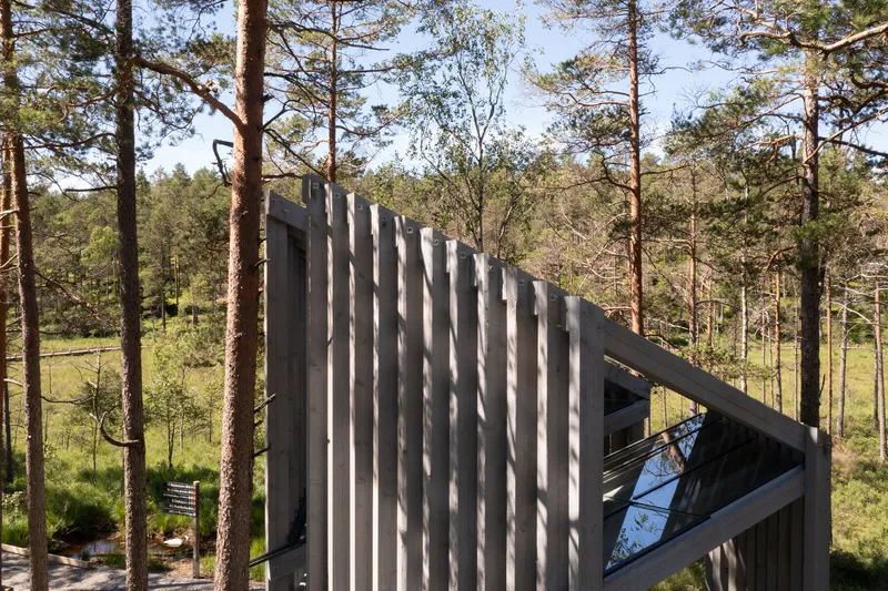 Angled facade of vertical timber slats with triangular glazed opening amid forest clearing