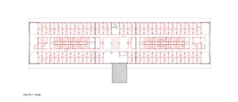 Floor plan showing central circulation spaces flanked by repetitive cellular rooms in red linework
