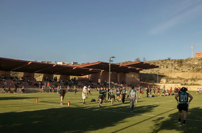View from the field showing the exposed timber beams and columns of the overhead structure