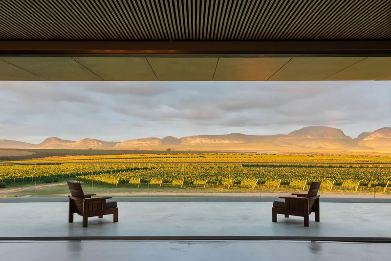 Two timber lounge chairs on a terrace overlooking vineyards bathed in golden afternoon light