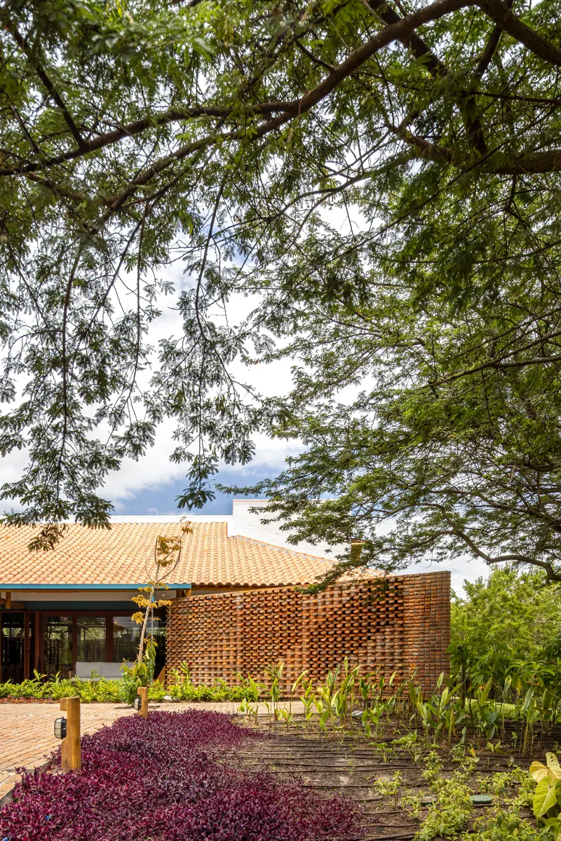 Perforated brick screen wall and planted bed with purple groundcover beneath overhanging tree canopy