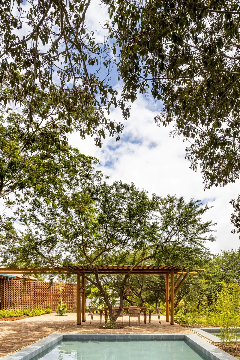 Poolside pergola framing a preserved tree with spreading branches against partly cloudy sky