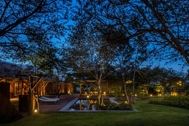Garden courtyard with reflecting pool and timber screen walls beneath illuminated trees at twilight