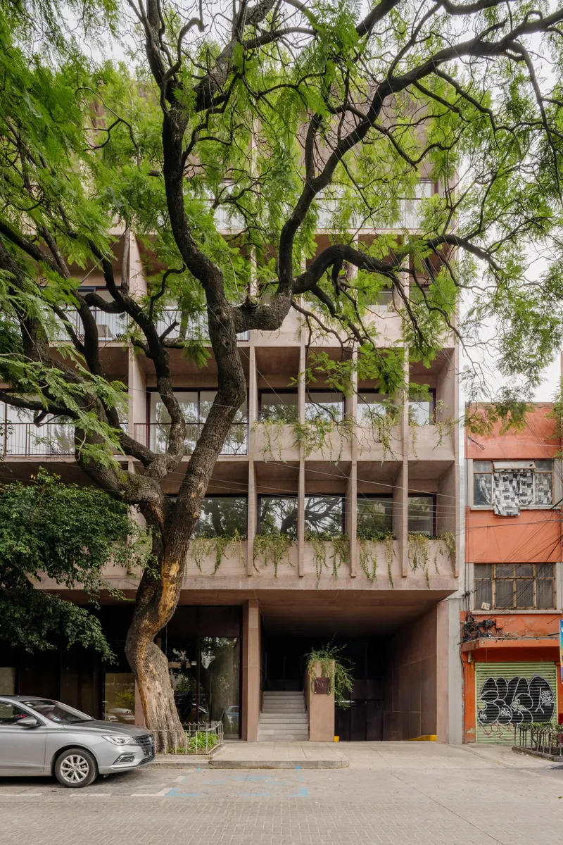 Street facade with exposed concrete frame and planted balconies framed by a large tree canopy