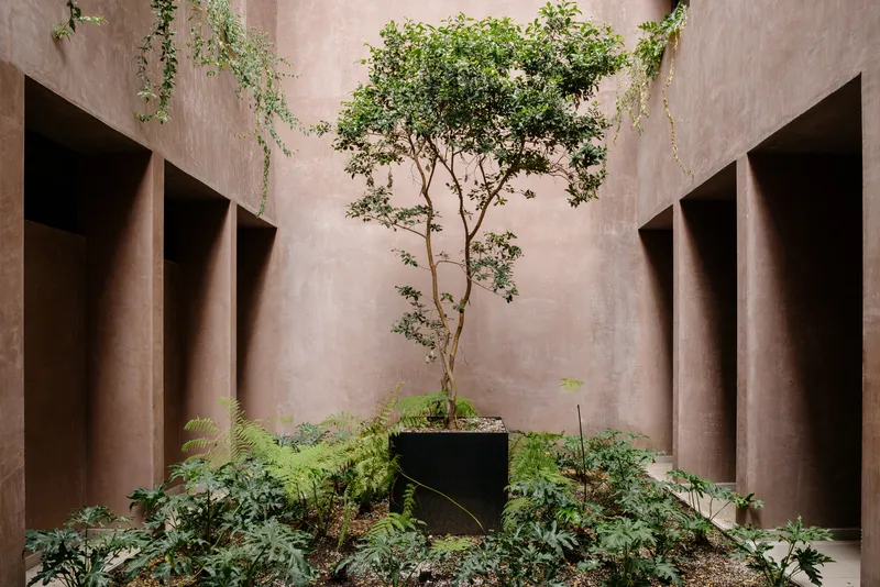 Courtyard planter with potted tree, ferns and small shrubs enclosed by tapered concrete walls