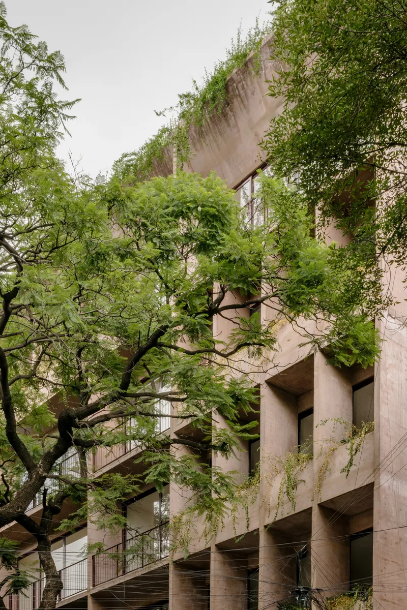 Concrete balconies with cascading vines emerging from planted beds through overhanging tree branches