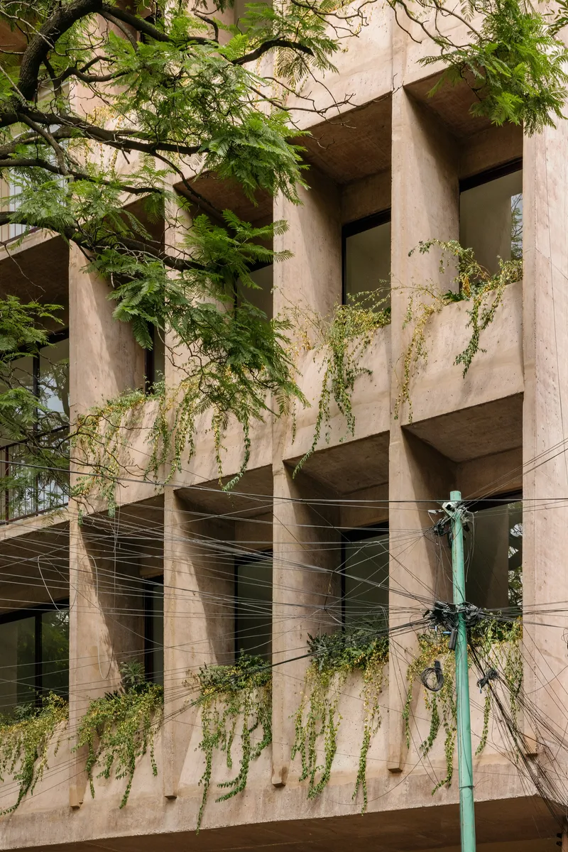 Facade detail showing diagonal concrete supports with trailing vegetation and overhead power lines