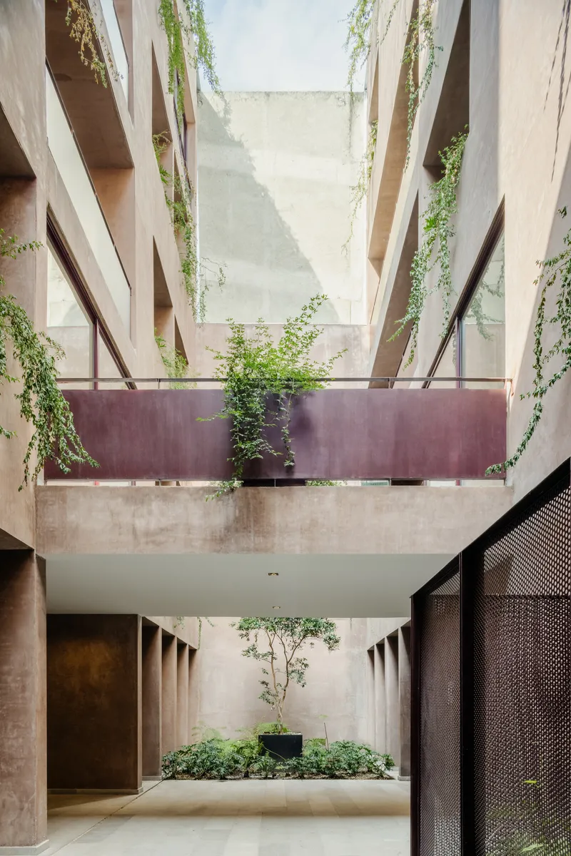 Interior courtyard with planted bridge overhead and a young tree in a black planter below