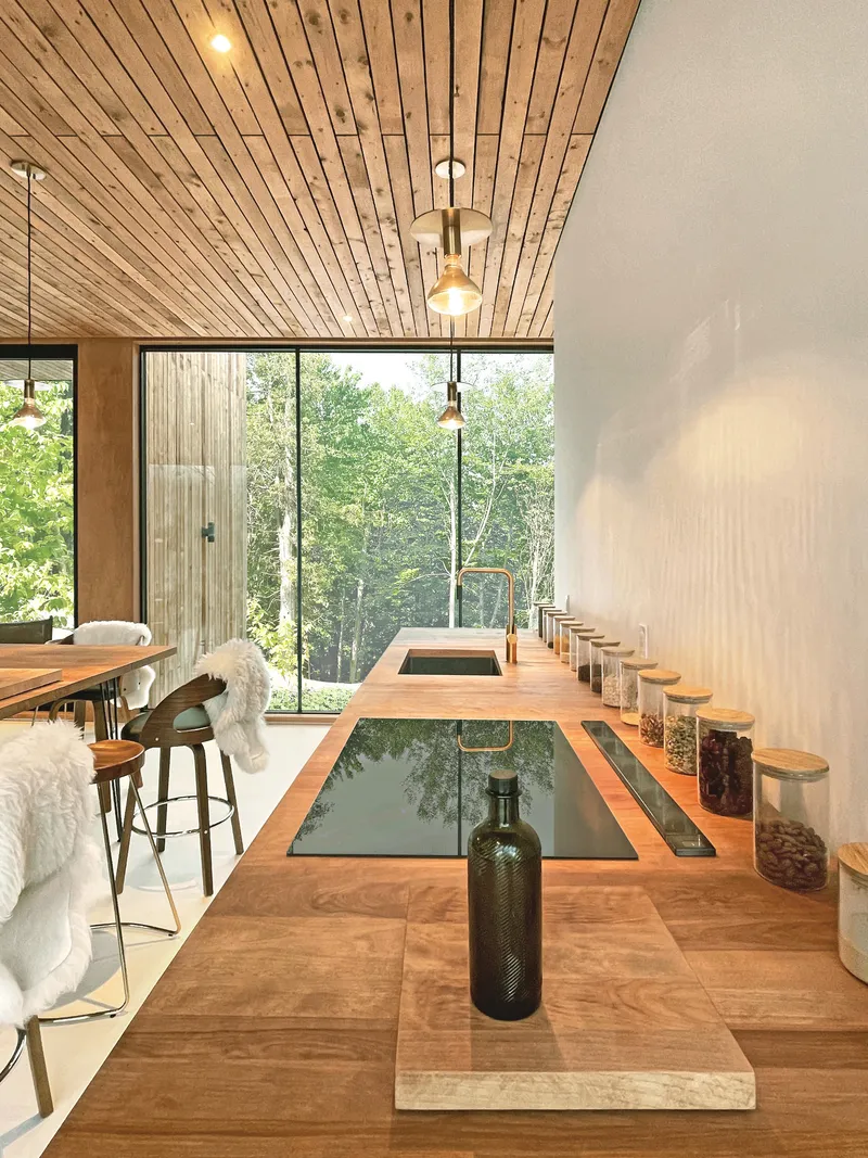Long timber counter with glass insert reflecting trees outside the glazed wall