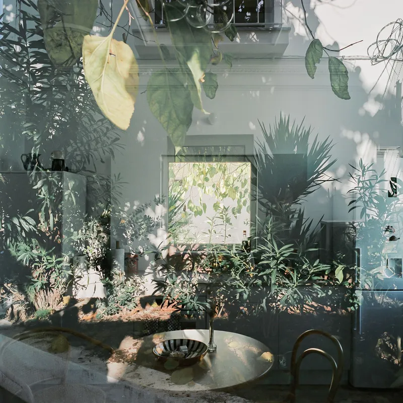 Kitchen with round table and steel sink framed by planted beds beneath suspended greenery
