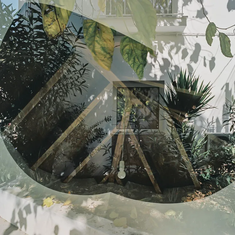 Interior courtyard view through dense foliage and hanging banana leaves with dappled sunlight