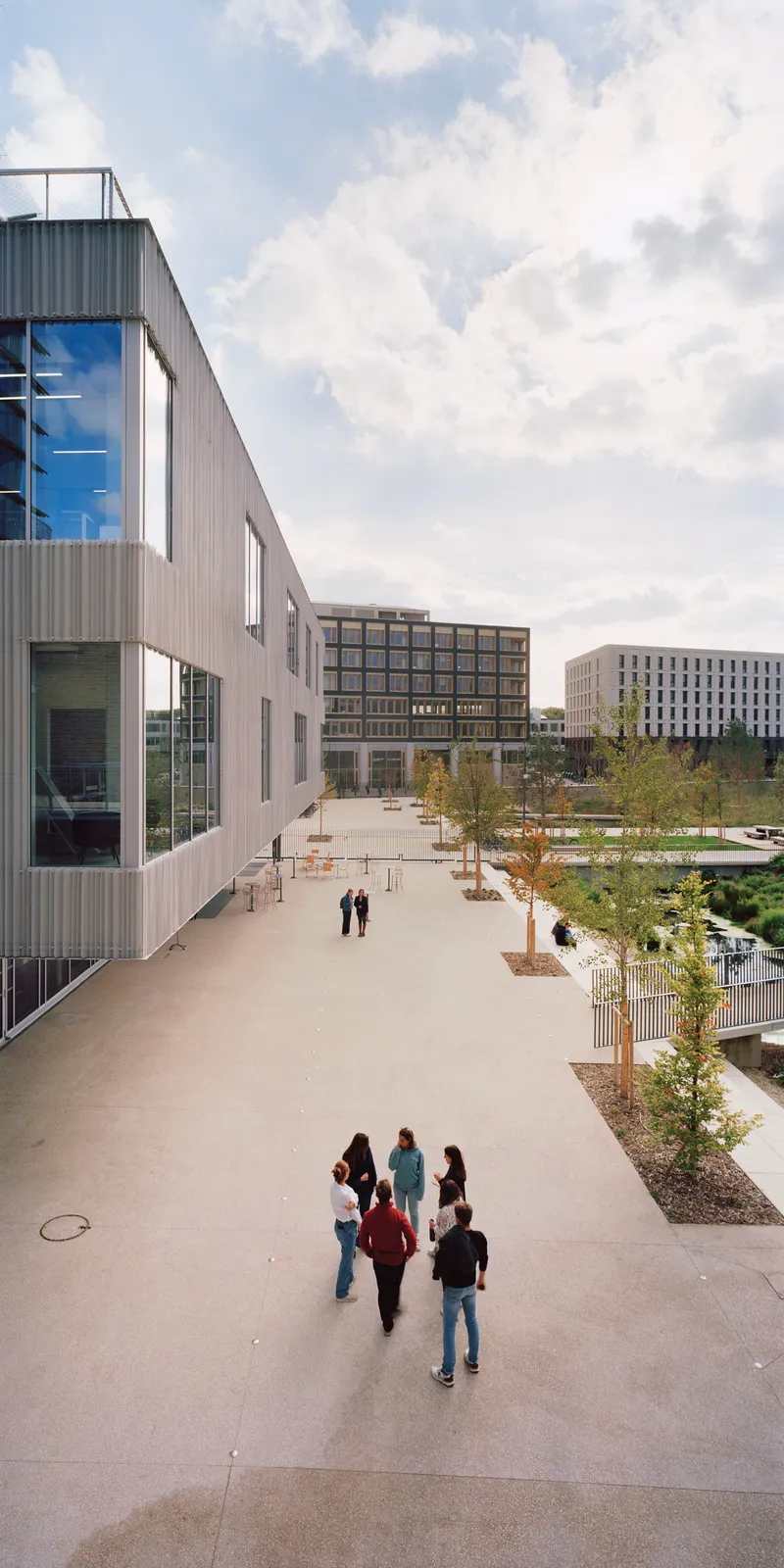 Courtyard walkway with groups of people gathered near young trees and planted beds