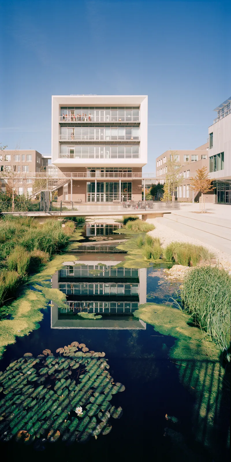 White vertical facade reflected in a pond with lily pads and native grasses
