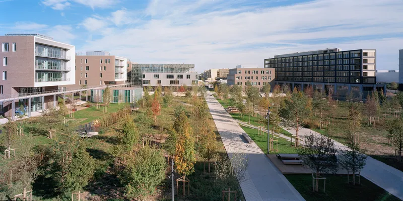 Aerial view of the central park with winding paths connecting residential buildings in autumn
