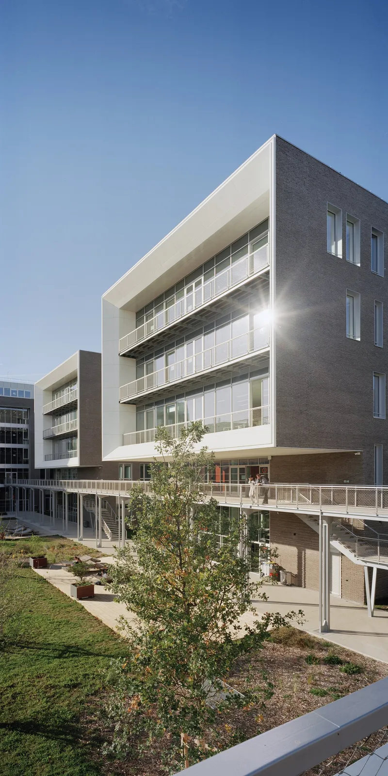 Street view of the white frame facade with horizontal glazing and dark brick volumes beside a planted tree