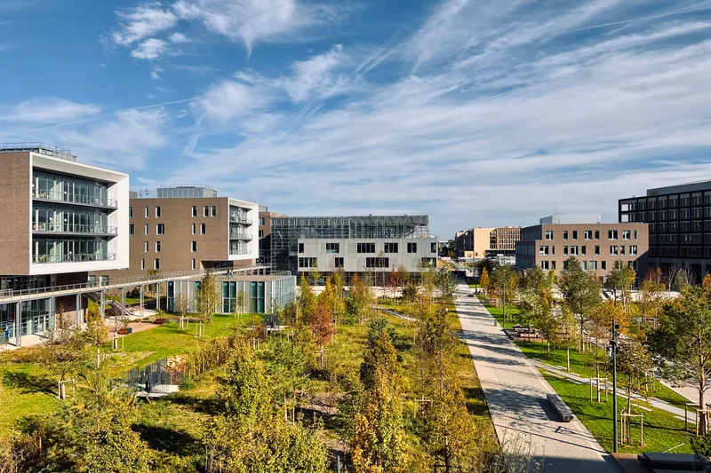 View across the landscaped roof terrace with linear pathways and young trees under wispy clouds