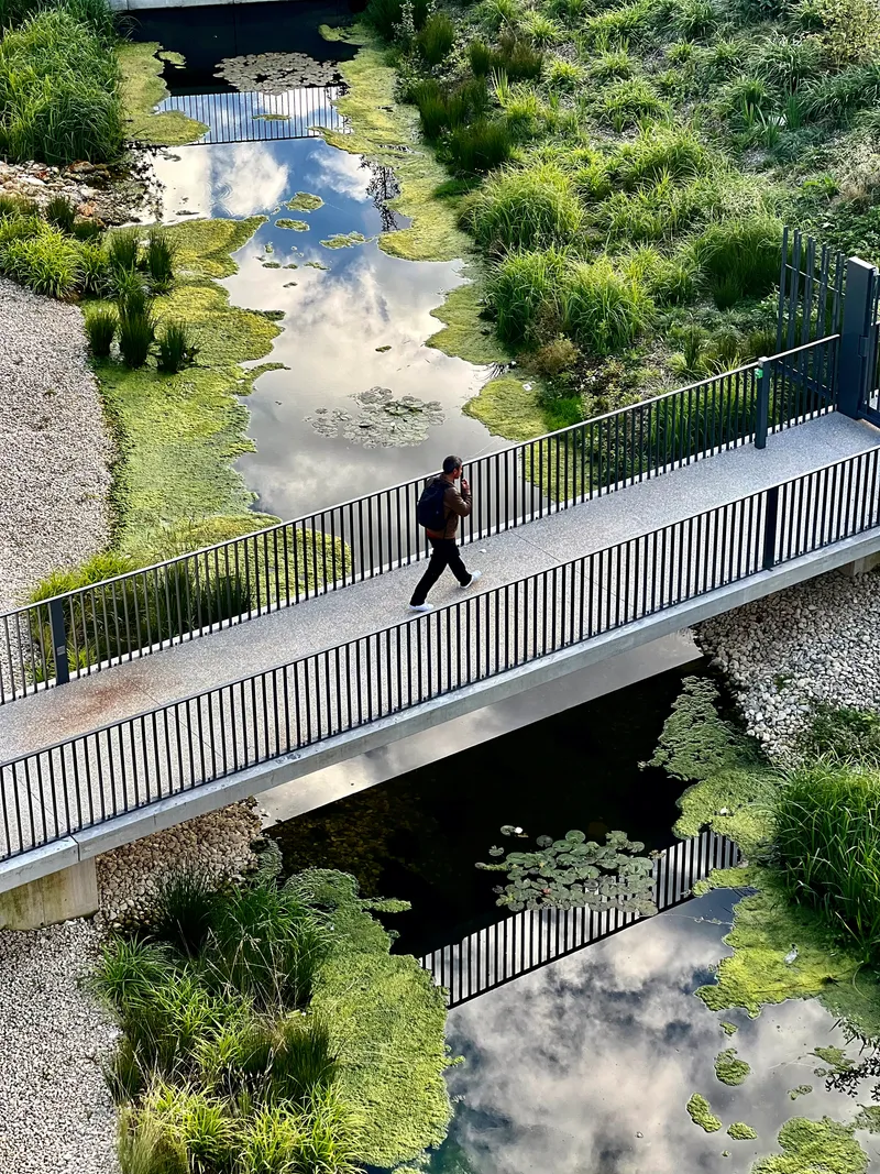 Pedestrian bridge with vertical metal railings crossing a naturalized stormwater pond with a person walking