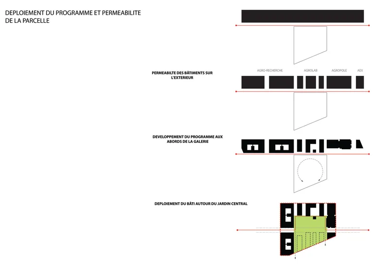 Phasing diagram illustrating four development stages from solid blocks to buildings around a green garden