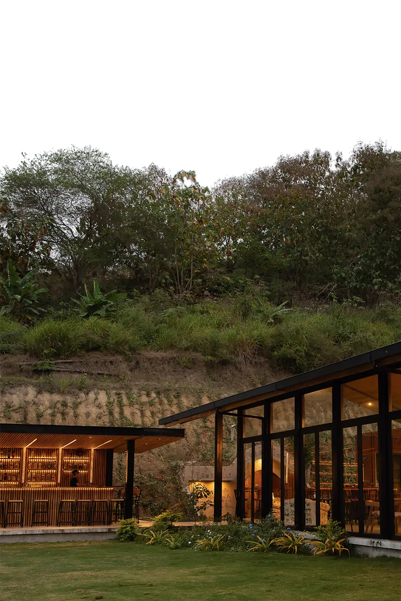 Glass-walled facade with steel framing beneath a vegetated hillside at twilight