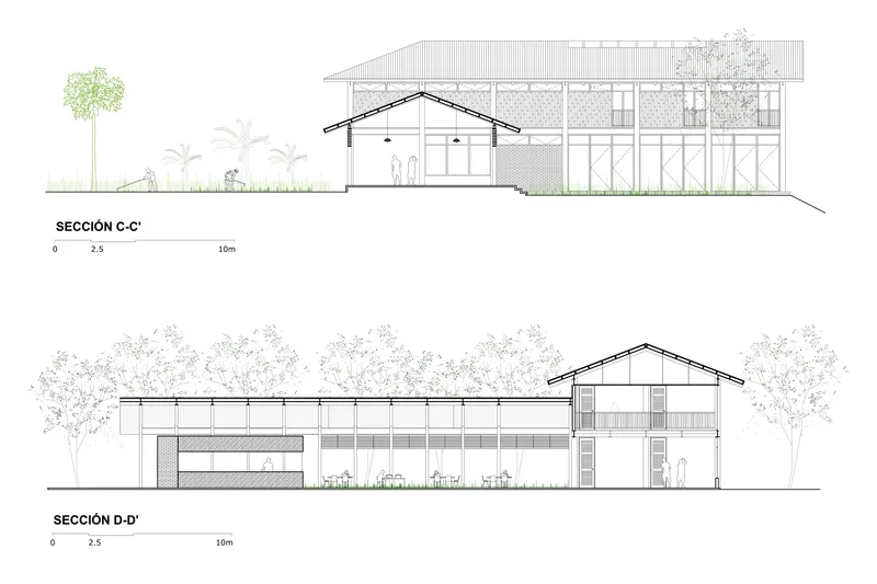Section drawings revealing varied roof heights and open floor levels with surrounding vegetation