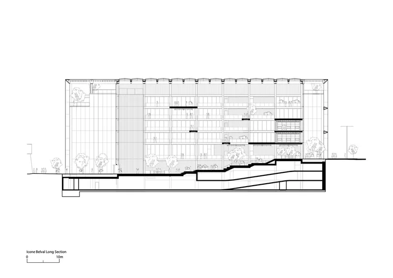 Longitudinal section drawing revealing terraced interior levels beneath a gridded facade and planted roof terraces