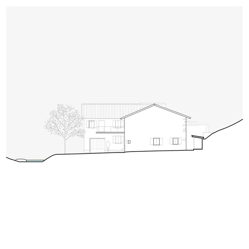 Elevation drawing presenting the opposite facade with garage door opening and tree in foreground