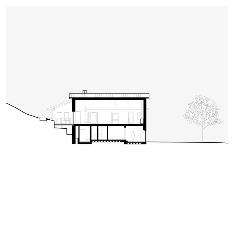Section drawing showing a two-story structure on a sloping site with a tree on the right