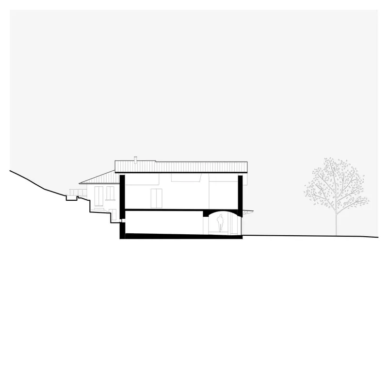 Section drawing depicting split-level interior spaces within a flat-roofed volume on descending terrain