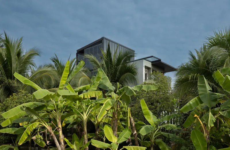 View of the multi-level residence through dense banana palms and coconut trees under overcast skies