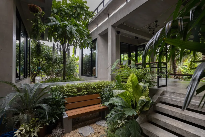 Planted interior courtyard with timber bench and concrete steps surrounded by glazed walls and tropical foliage