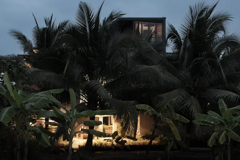Layered volumes partially concealed by coconut palms and banana plants in fading evening light