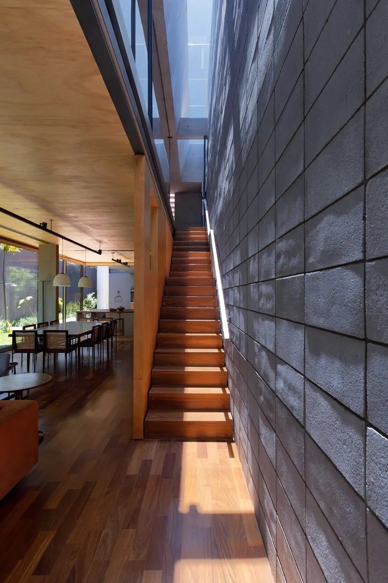 Timber staircase between textured tile wall and plywood partition with skylight illuminating the treads
